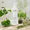 Sữa Rửa Mặt FerraON Dạng Gel - Houttuynia Cordata Gel Cleanser - Sạch Dịu Nhẹ Cho Da Dầu Mụn Nhạy Cảm 150ml