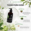 Combo Dầu Gội Xả Nhân Sâm Thảo Dược sPure 250ml, Nuôi Dưỡng & Làm Chậm Quá Trình Lão Hóa, Cải Thiện Tóc Bạc