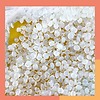 Combo Wax Nách, Râu Nam, Wax Bi Chuyên Nghiệp gồm 1 Nồi chống dính mini +100g sáp wax lông cứng + phấn rôm +5 Que gỗ
