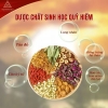 Trà Hoa Đông Trùng Hạ Thảo Atiso Thiên Hương Phát, Hỗ Trợ Thanh Nhiệt Giải Độc Gan Hộp 10 Gói (50g)
