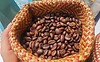 Cà Phê Hạt EAHLEO 500g – Cà Phê Nguyên Chất 100% – Hạt Cà Phê Đắk Lắk