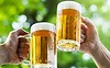 Đồ Uống Bia 38 – Rượu, Bia Và Nước Giải Khát