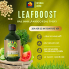Phân Bón Sinh Học chuyên biệt cho Rau sạch & Cây khỏe - LeafBoost