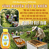 Mật ong nguyên chất hoa Nhãn, mật ong tự nhiên, tăng sức đề kháng, giảm ho, mật ong CvdBeehoney