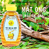 Mật ong nguyên chất hoa Nhãn, mật ong tự nhiên, tăng sức đề kháng, giảm ho, mật ong CvdBeehoney