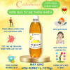 Mật Ong Rừng 1400g Nguyên Chất Cao Cấp Cvdbeehoney