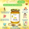 Mật Ong Hoa Nhãn Nguyên Chất Cao Cấp 330ml (460g) Cvdbeehoney