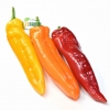 Ớt Sweet Palermo Hữu Cơ