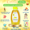 Mật Ong Rừng 500g Nguyên Chất Cao Cấp Cvdbeehoney