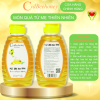 Mật Ong Rừng 500g Nguyên Chất Cao Cấp Cvdbeehoney