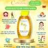 Mật Ong Sâm Tiến Vua 500g Cvdbeehoney