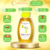 Mật Ong Sâm Tiến Vua 500g Cvdbeehoney
