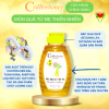 Mật Ong Sâm Tiến Vua 500g Cvdbeehoney