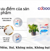 Khăn Vuông 800 Tờ Cao Cấp CABOO
