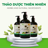 Dầu gội thảo dược O-Nature hương bồ kết 500ml