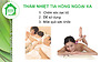 Thảm nhiệt điện HOT PAD 