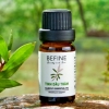 Tinh dầu tràm BEFINE 10ml