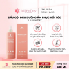 Dầu gội đầu dưỡng ẩm phục hồi tóc Jullien Day Shampoo Moisture & Repair 500ml