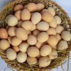 Trứng Gà Ta Nguyễn Gia (Hưng Yên)