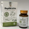 Thực phẩm bảo vệ sức khỏe HupBRAINA