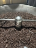 Cà phê Robusta 