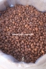 Cà phê Robusta 