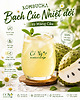 KAMBUCHA BẠCH CÚC NHIỆT ĐỚI TỪ MÃNG CẦU – THANH MÁT, THƠM NGON TỪ THIÊN NHIÊN