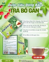 Trà Bổ Gan 