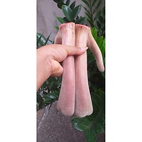 NHUNG HƯƠU TƯƠI HƯƠNG SƠN – SẢN PHẨM BỒI BỔ SỨC KHỎE