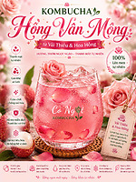 KOMBUCHA HỒNG VÂN MỘNG – TỪ VẢI THIỀU & HOA HỒNG