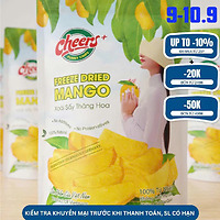 Xoài Sấy Thăng Hoa, giữ trọn hương vị xoài, túi 100g, phù hợp quà tặng, snack cao cấp - Viza Food