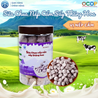 Sữa Chua Nếp Cẩm Sấy Thăng Hoa Chị Vàng Milk Hộp 100g - Giòn Xốp, Chua Ngọt Tự Nhiên - Bữa Ăn Dinh Dưỡng Cho Cả Gia Đình