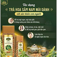 Trà Nụ Hoa Sâm Nam núi Dành lọ 200Gr - Sâm Tổ Núi Dành