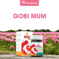 Viên uống Gobi Mum