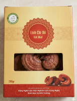 Nấm Linh Chi Hữu Cơ Thanh Nhàn – Linh Chi Đỏ - Dược Liệu Quý Hỗ Trợ Bồi Bổ Sức Khỏe & Tăng Cường Miễn Dịch