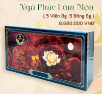 Ngũ Phúc Lâm Môn