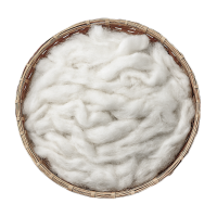 Bông sợi chuối (tinh)	