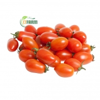 Cà Chua Cherry Đỏ Hữu Cơ