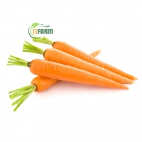 Cà Rốt Baby Hữu Cơ