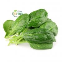 Cải Bó Xôi Hữu Cơ