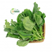 Cải Ngồng Hữu Cơ