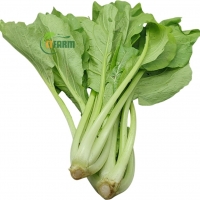 Cải Ngọt Hữu Cơ