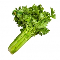 Cần Tây Hữu Cơ