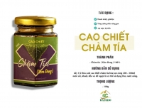 Cao chiết chàm tía