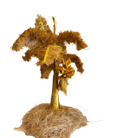 Cây chuối vàng (sợi chuối)	