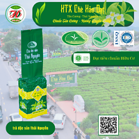 Chè đặc sản Thái Nguyên gói 200g – HTX chè Hảo Đạt