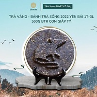 TRÀ VÀNG - BÁNH TRÀ SỐNG 2022 YÊN BÁI 1 TÔM - 3 LÁ 500G BTR CON GIÁP TÝ