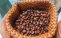 Cà Phê Hạt EAHLEO 500g – Cà Phê Nguyên Chất 100% – Hạt Cà Phê Đắk Lắk