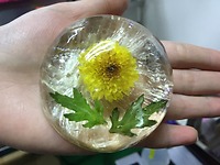 Xà bông Amino Hoa Cúc ( Chrysanthemum ) Tha Von  thỏi 95 gam