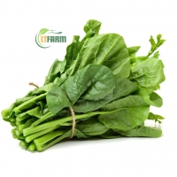 Mồng Tơi Hữu Cơ